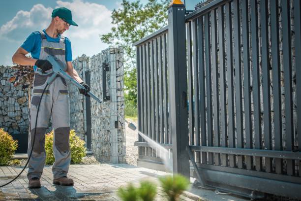 Best Rust Removal  in Escanaba, MI