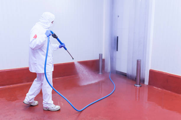  Escanaba, MI Pressure Washing Pros