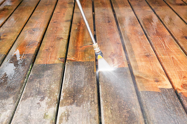 Best Gutter Cleaning  in Escanaba, MI